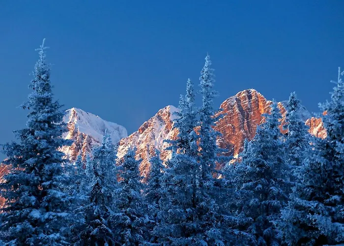 Bergchalet Raffalt Σπίτι διακοπών Rohrmoos